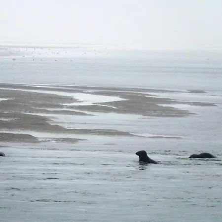 Дом отдыха Maison Charmante A Avec Grand Jardin Clos *